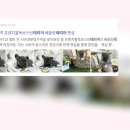 건강한펫 - 고양시 일산서구 탄중로101번길 41 | 건강한펫