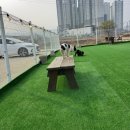 하청계천 이미지