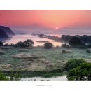 창녕 우포늪 이미지