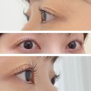 돈암2동주민센터입구.흥천사 버스정류장(08-268) | 성신여대 속눈썹펌 맛집 그리다 속눈썹펌 후기