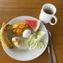 짐우먼 | 보홀 프리다이빙 투어 2일차 : 릴라 고래상어 투어 l 사우스팜스 리조트 두말리안 비치 l 할로망고 l...