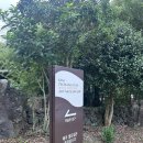 제주도립 김창열미술관 | 제주도립김창열미술관* 제주 한림 미술관 관람후기 꿀팁