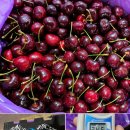 신선관 | 6/29(월) 햇사레복숭아, 워싱턴 빙체리, 정상자두, 고당도 사과, 대추방울토마토, 베니지민 고구마, 홍감자