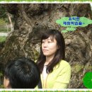 풍향초등학교 이미지