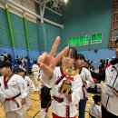 글로벌아이 태권도장 이미지