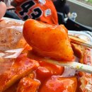 정부청사 입구(샘머리) | [대전]둔산동 분식 맛집 ‘ 샘머리김밥’들고 한화생명볼파크 직관 가즈아