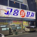 고흥회포차
