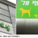 개편한세상 이미지