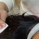 더 미오뷰티