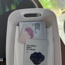 [아이와 함께 제주 여행]성산일출봉 인근 가볼만한 곳 '일출랜드' & '족욕카페 쉬멍' 총정리 (유모차...