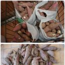 별내체험마을 이미지