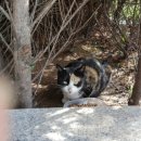 해인약국 이미지