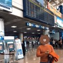 에이치카케어 이미지