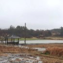 삼호리 마을회관 이미지