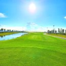 드래곤 골프 이미지
