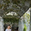 아린농장 이미지