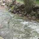 들림집 | 원주 계곡 백숙 맛집 들림집 예약 방문 후기