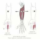 심지한의원 이미지