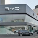 돌핀월드네트워크 | 삼천리EV BYD 돌핀 완벽 분석! 스펙·실내공간·시승까지 한 번에