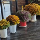 강변주유소화장실 | 뷰가유명한 화양강휴게소 강변뷰 단풍 가을풍경 아름다운 전망좋은 휴게소 잠시 쉰곳 인제방면 화양강랜드