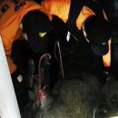 도심초등학교 이미지