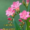 꾸미지