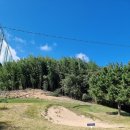 계림골프연습장 | 경산 인도어 골프연습장 추천 계림 골프 연습장 ! (가격, 이용시간, 벙커, 퍼터, 인도어)