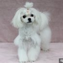 타잔동물병원 이미지