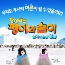 돌고래와펭귄 이미지