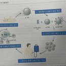 표적항암약물치료と카티항암약물허가치료약 이미지