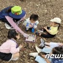 금호산 유아숲체험원 이미지