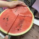어나더스윗 고당도 특등급 프리미엄 꿀 수박
