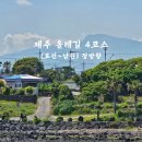 제주 올레길 4코스(표선~남원) 정방향 완주 주요 볼거리 후기
