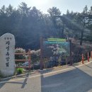 여수봉황산자연휴양림 이미지