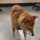 동천동 행정복지센터 이미지