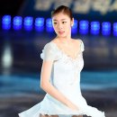 [펌]2014 김연아 아이스쇼 의상 이미지