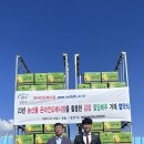 하늘청과 이미지