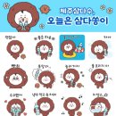 쏭 노컷뉴스