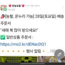 장암농협 농산물유통센터 | 창원시팔용 농산물 도매시장 안의 소매점 한농상사 후기