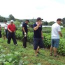 기쁨농장 이미지