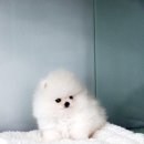 렛츠개릿 이미지