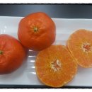 김재철농장 이미지