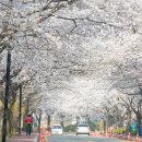 행정1리 경로당 이미지