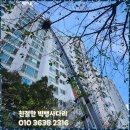 빅뱅센터 이미지