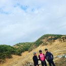 인태농장 이미지