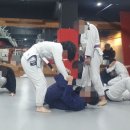 체력단련 | 부산주짓수 [SYM피트니스주짓수]에서 체력단련 시작한 후기 솔직하게 적어봤어요