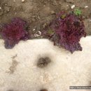 북평면사무소 이미지