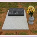 진안산소 이미지