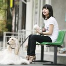 퍼피프린스 이미지