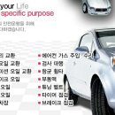 동국밧데리자동차 이미지